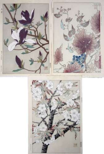 Kawarazaki Shodo (1889-1973) Magnolia 1ed 1950's, Cherry Blossoms 1ed 1950's, and Wild Grapes, 1ed