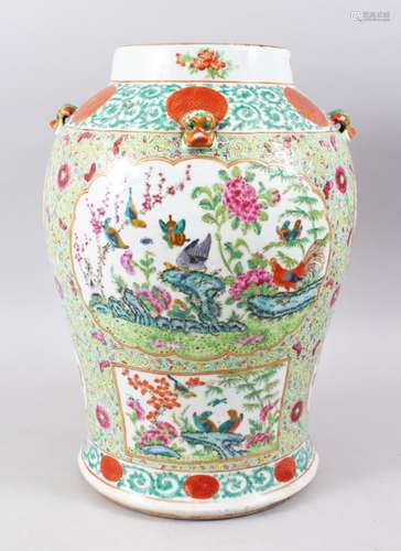 A GOOD 19TH CENTURY CHINESE FAMILLE ROSE PORCELAIN TEMPLE JAR, decorated with panels of birds