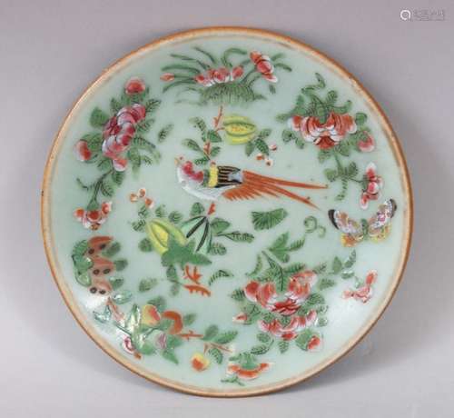 A 19TH CENTURY CHINESE CELADON FAMILLE ROSE PORCELAIN DISH, the dish decorated with flora and birds,