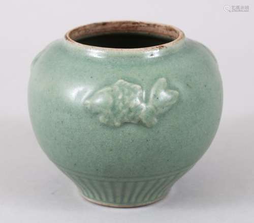 A GOOD 18TH / 19TH CENTURY CHINESE LONGQUAN CELADON PORCELAIN MOULDED FISH POT, the body with