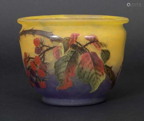 Jugendstil Vase mit Brombeeren / An Art Nouveau va…