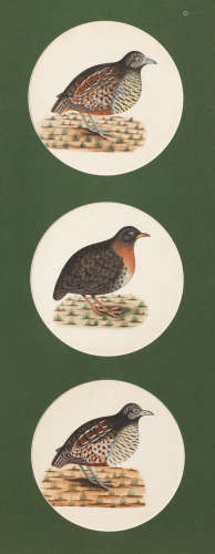 Three studies of birds, perhaps quail, from the collection of Major James Nathaniel Rind Company School, Lucknow, circa 1800