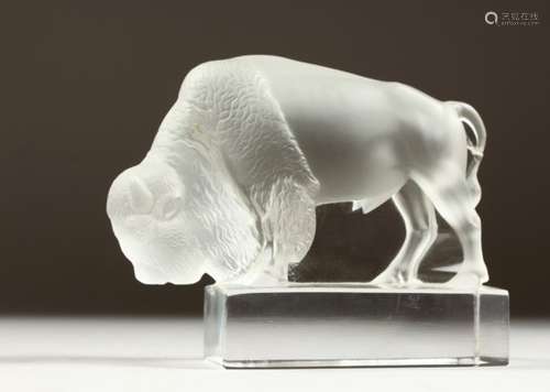 A LALIQUE FROSTED GLASS MODEL OF A BISON. Etched LALIQUE, FRANCE. 12cms long.