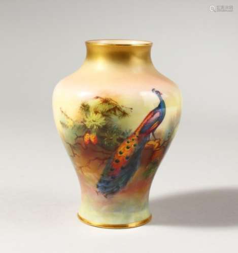 A ROYAL WORCESTER VASE, painted with a peacock, date code for 1916, puce mark.