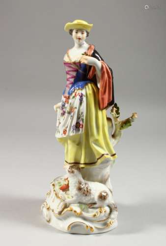 A MEISSEN FIGURE OF A LADY, standing holding a posy, a lamb at her feet. 10.25ins high.