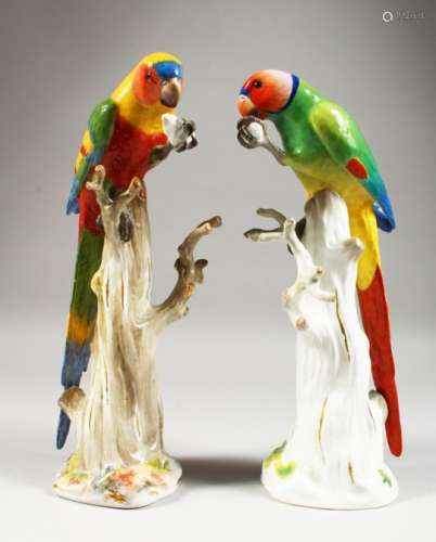 A GOOD PAIR OF COLOURFUL MEISSEN PARROTS, each perched on a tree stump holding a piece of fruit in