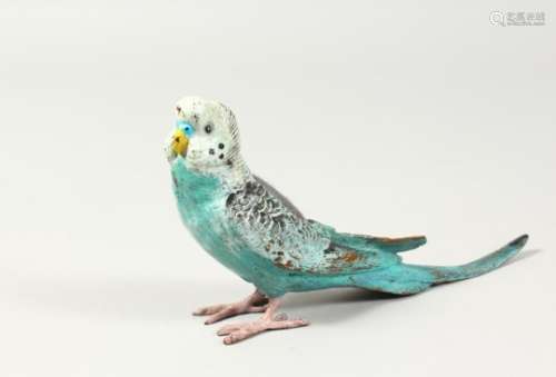 A BERGMANN STYLE COLD PAINTED BRONZE BUDGERIGAR PIN CUSHION. 6.5ins long.