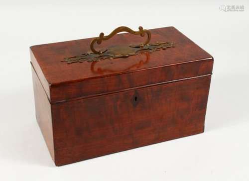 A GEORGE III MAHOGANY TEA CADDY, with brass carrying handle and three division interior with tins.