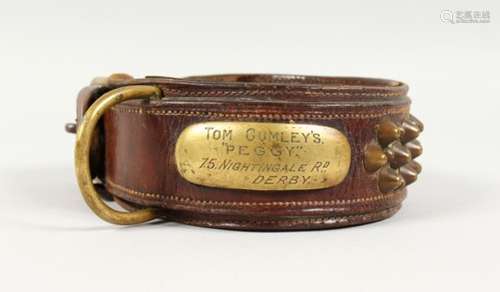 AN EARLY 20TH CENTURY LEATHER AND BRASS STUDDED DOG COLLAR: TOM CUMLEY'S 