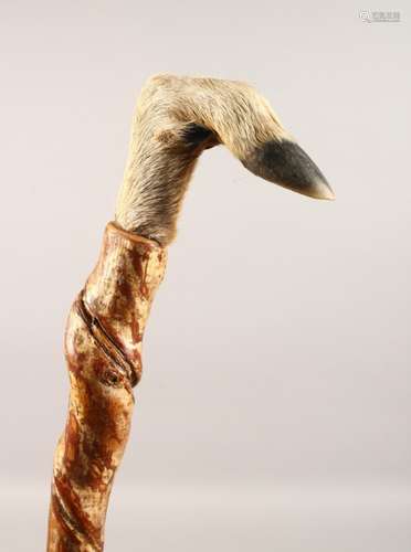 A HOOF HANDLED WALKING STICK, with twisted shaft. 48ins long.