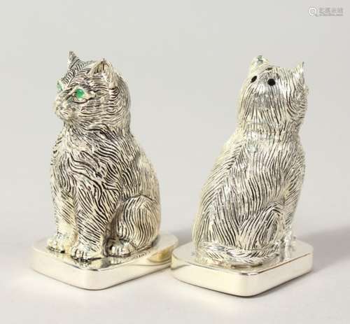 A GOOD PAIR OF HEAVY NOVELTY SILVER PLATE SEATED CAT SALT AND PEPPERS. 2ins high.