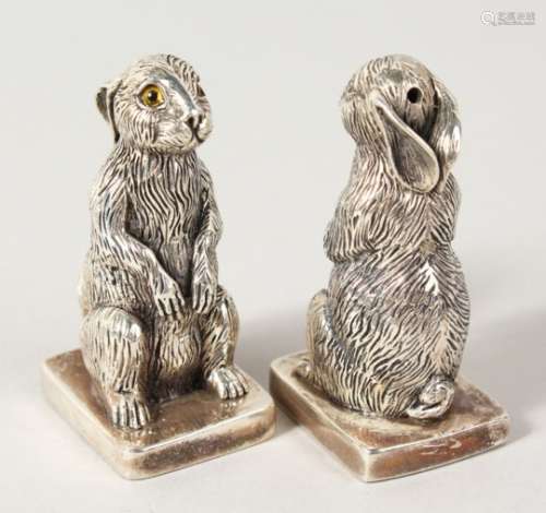 A GOOD PAIR OF HEAVY CAST SILVER SEATED RABBIT SALT AND PEPPERS. 2.25ins high.