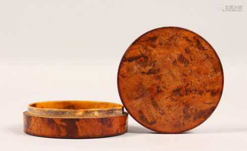 A GEORGE III CIRCULAR BURR WOOD AND TORTOISESHELL LINED SNUFF BOX. 3.5ins diameter.