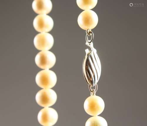 A CULTURED PEARL NECKLACE with silver clasp.