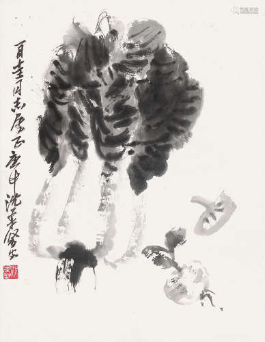 沈柔坚 （1919-1998） 白菜1980年作 水墨纸本镜片
