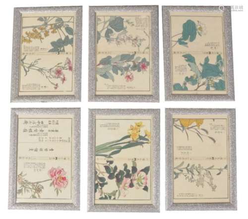 A set of twelve Japanese botanical prints