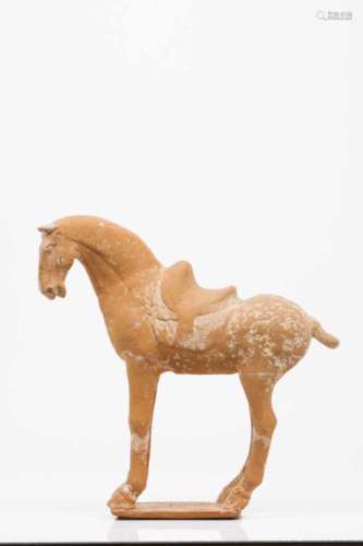 A horseTerracotta sculptureChina, Tang dynasty (618-907)Thermoluminescence certificate from ASA,