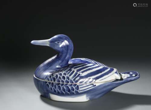 Blue and White Duck