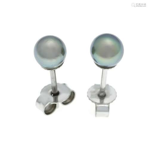 Cultured pearl stud earri