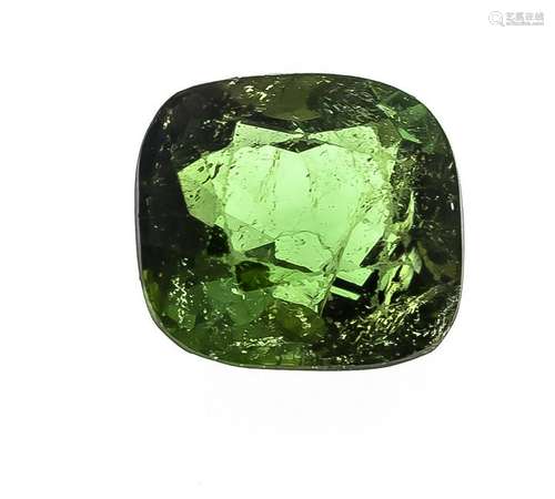 Tourmaline 13.38 ct, radi