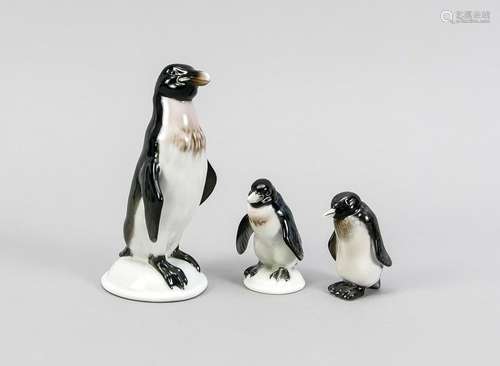 Three Penguins, Rose