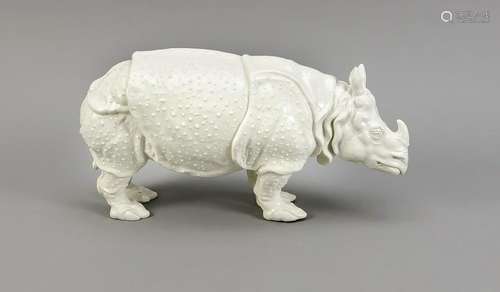 Rhino Clara, Nymphen