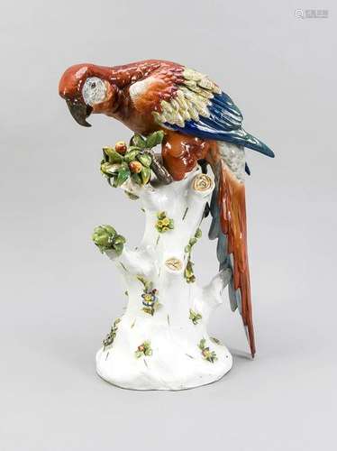 Red Macaw, Volkstedt