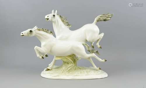 Galloping white hors