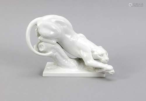 Panther, Meissen, 20