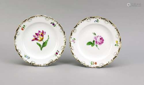 Two plates, Meissen,