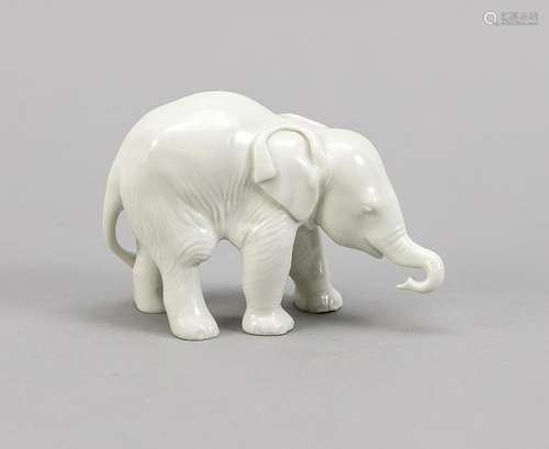 Standing Elephant, A