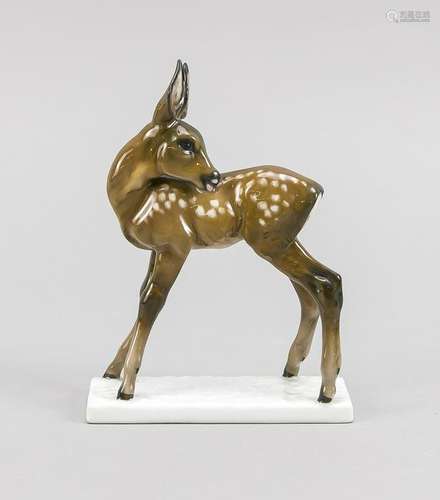 Bambi, Rosenthal, ma