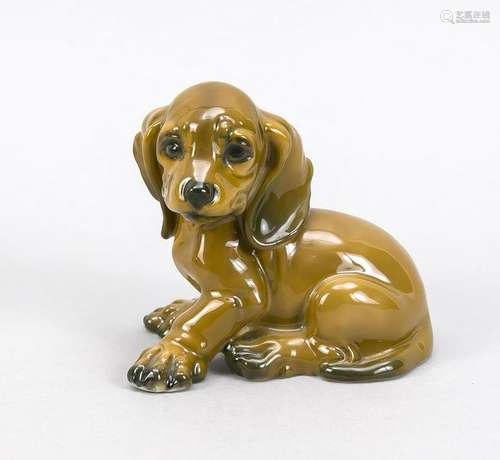 Sitting Dachshund, R