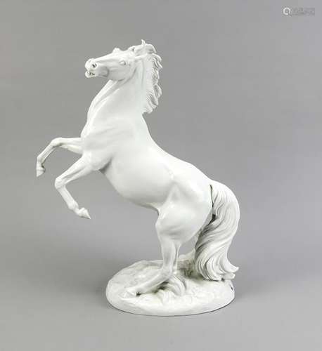 Maestoso, Meissen, 2