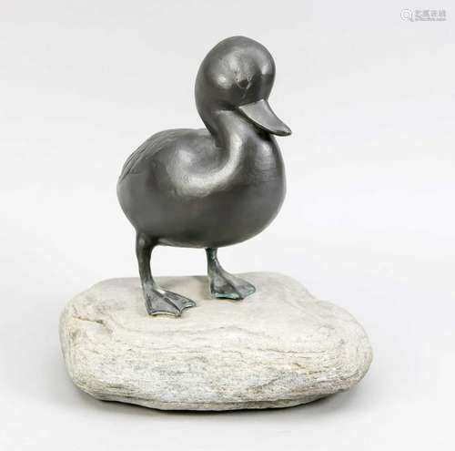 Duck on a stone, bro