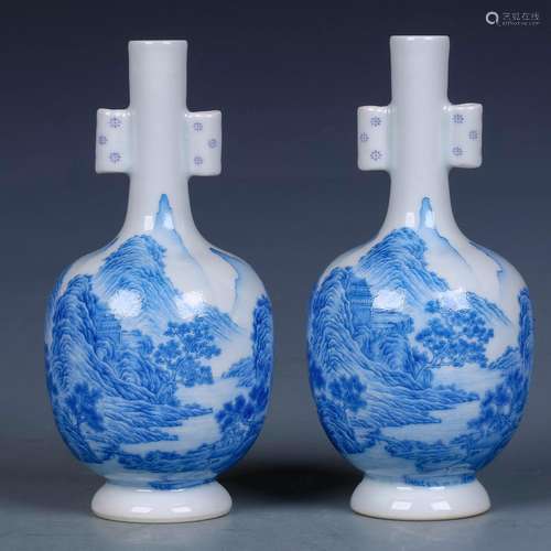 A Pair of Chinese Blue and White Porcelain Vases