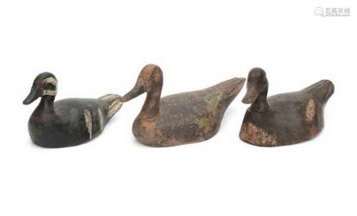 A collection of three wooden decoy ducks, all with remnants of polychromy. 19th centuryLength 36, 30