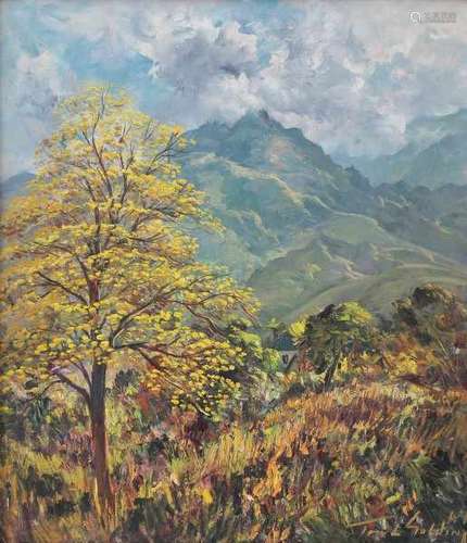 Tomás Golding (1909-1985)Venezuelan mountains. Signed and dated '64 lower right.canvas 73 x 63