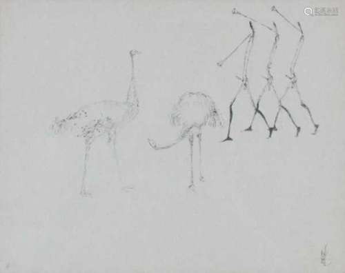 Melle (1908-1976)Composition with trumpeters and austriches. Signed lower right.Ink drawing 25 x