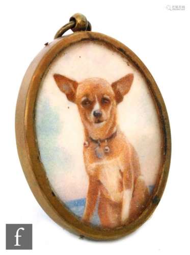 ENGLISH SCHOOL (EARLY 20TH CENTURY) - Portrait of a chihuahua dog, watercolour miniature on ivory,