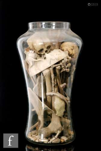 A 19th Century glass pharmaceutical jar of inverted baluster form containing two human infant