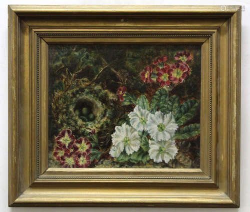 Unsigned oil on canvas, Still Life study of mixed flowers and birds nest, 19 x 23cm