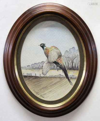 Geraldine Green, signed pair of watercolours, Pheasant and Mallard, 19 x 14cm, oval (2)