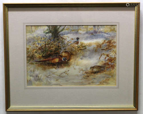 Heather Mabey, signed watercolour, Pheasant in winter landscape, 23 x 35cm