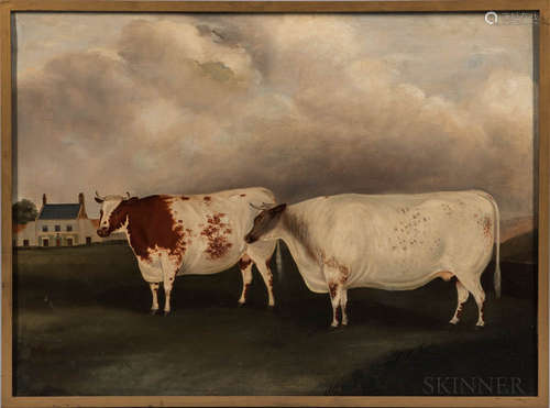 Anglo/American School, 19th Century Portrait of Two Cows