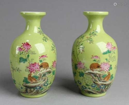 A Pair of Chinese Famille Verte Porcelain Vases