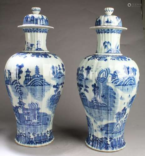 A Pair of Chinese Blue & White Porcelain Vases