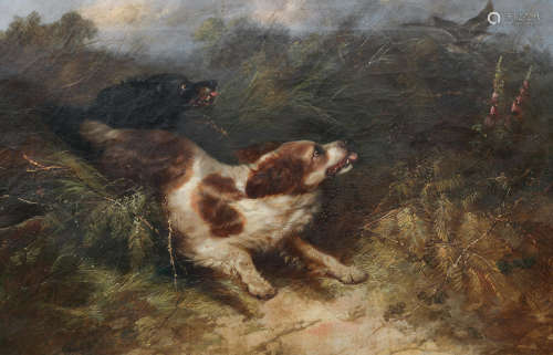 George Armfield(British, 1810-1893) Spaniels Putting up a Snipe