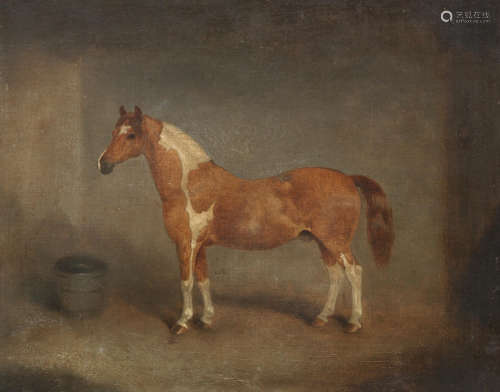 Attributed to William Henry Carpendale(British 1830-1883) Skewbald Pony in Stable