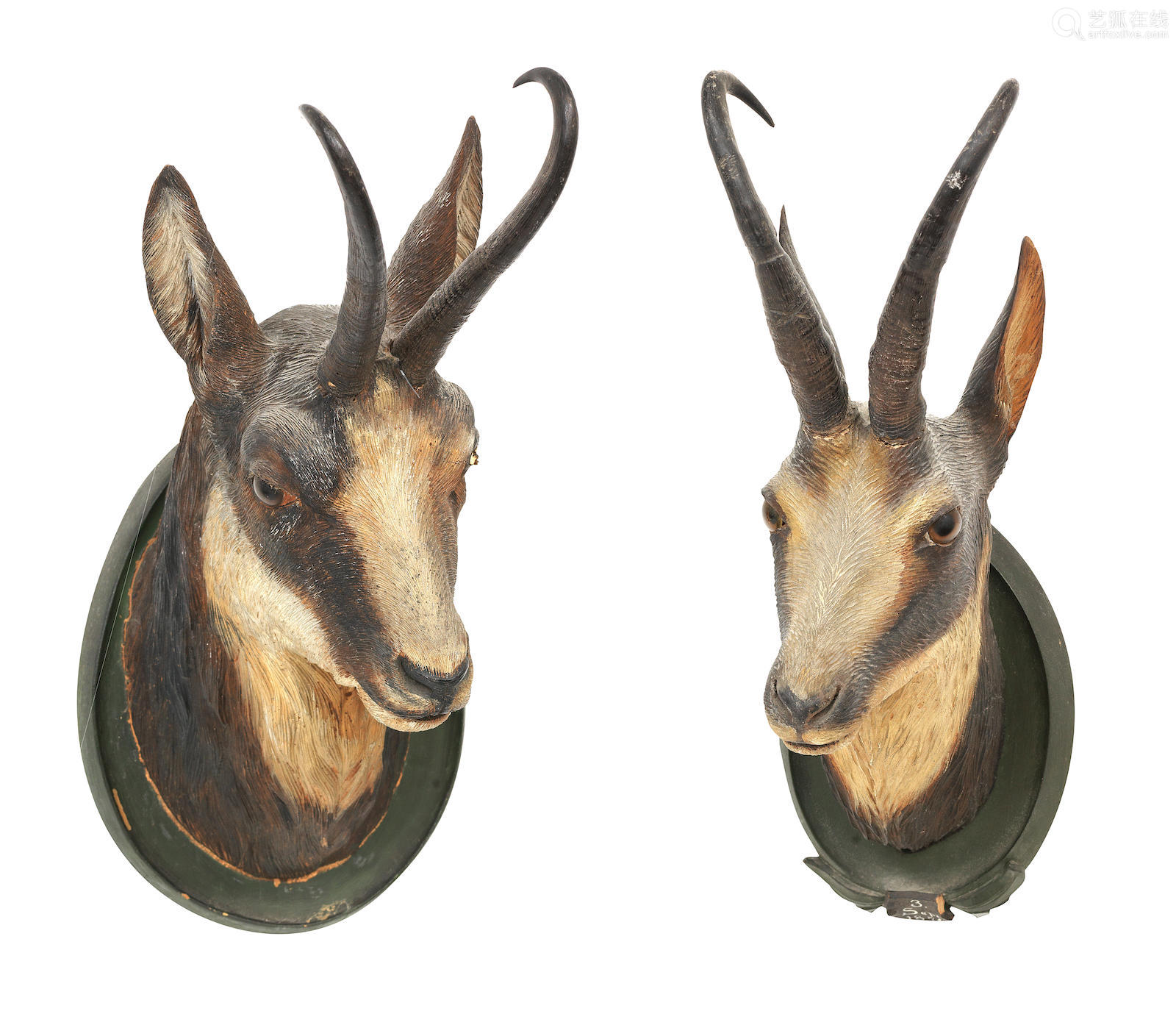 Three 19th Century Black Forest Life Sized Head Studies Of Ibex Deal Price Picture